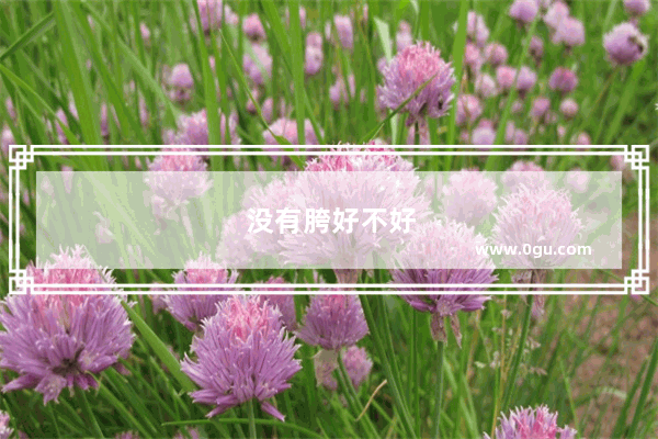 没有胯好不好
