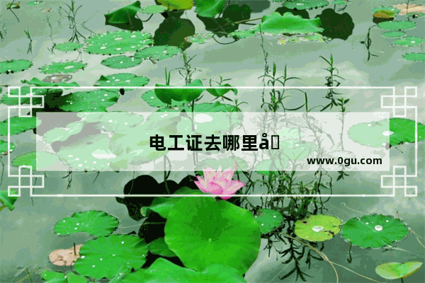 电工证去哪里办
