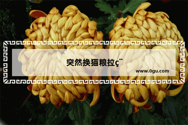 突然换猫粮拉稀怎么办