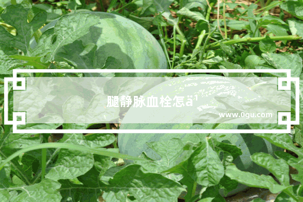 腿静脉血栓怎么办适合走路吗?