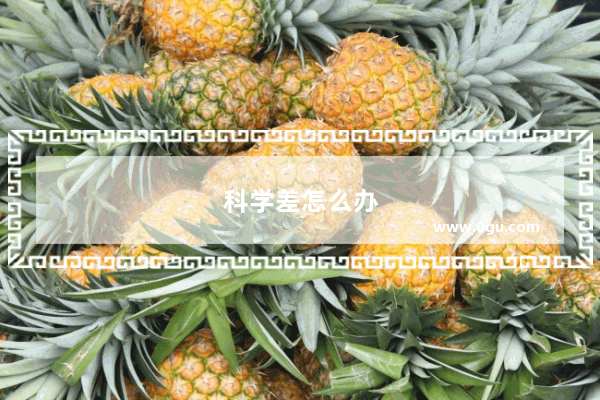 科学差怎么办
