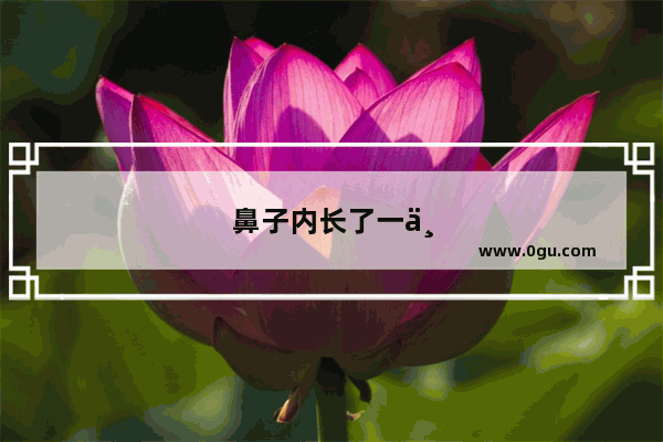鼻子内长了一个肉疙瘩 怎么办