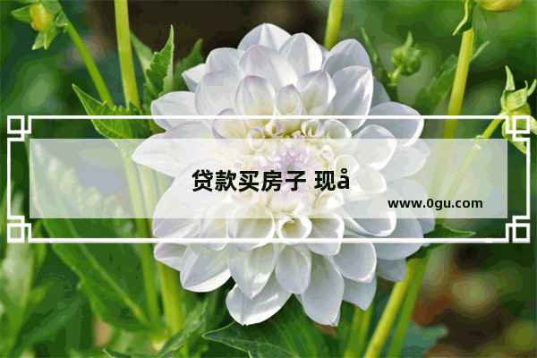 贷款买房子 现在还不起房贷怎么办？怕征信有问题