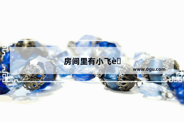 房间里有小飞虫怎么彻底消除