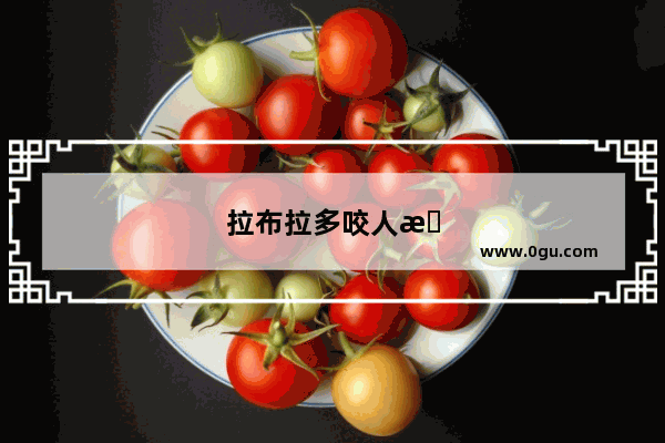 拉布拉多咬人怎么办