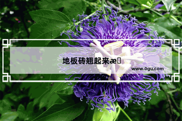 地板砖翘起来怎么办