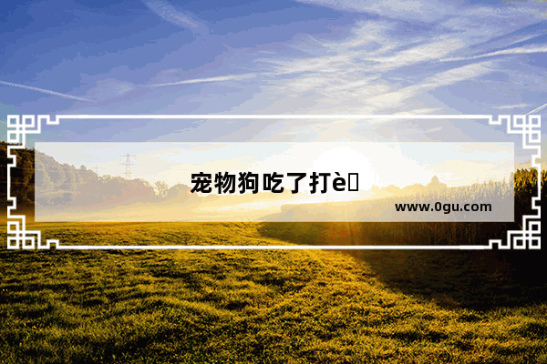宠物狗吃了打虫药过量怎么办