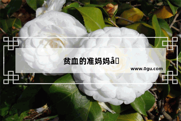 贫血的准妈妈吃哪些食物比较好