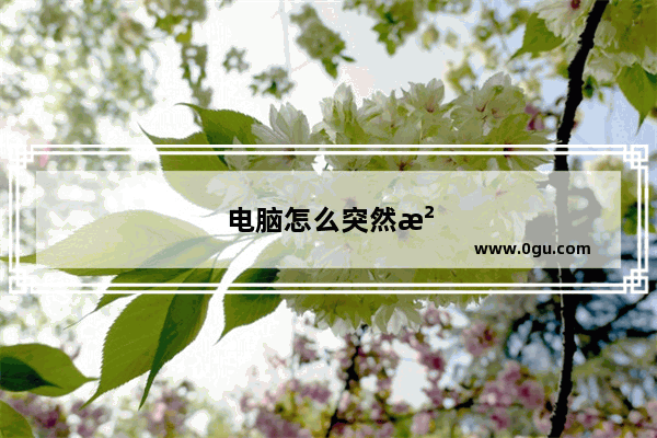 电脑怎么突然没声了