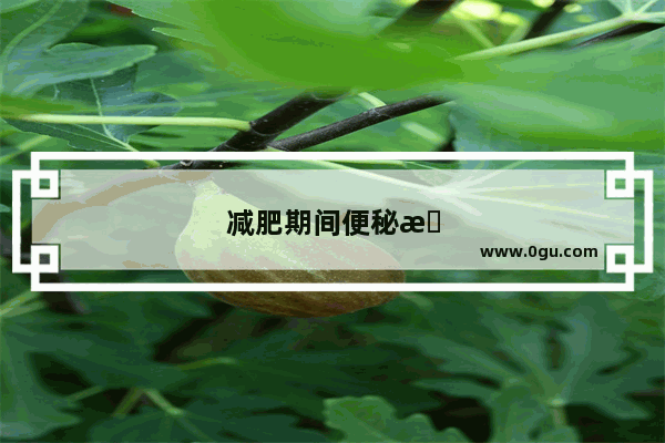 减肥期间便秘是否会影响效果