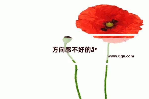 方向感不好的人开车有什么妙招
