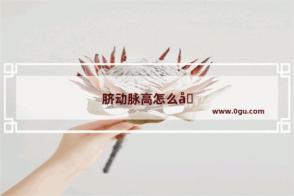 脐动脉高怎么办什么意思
