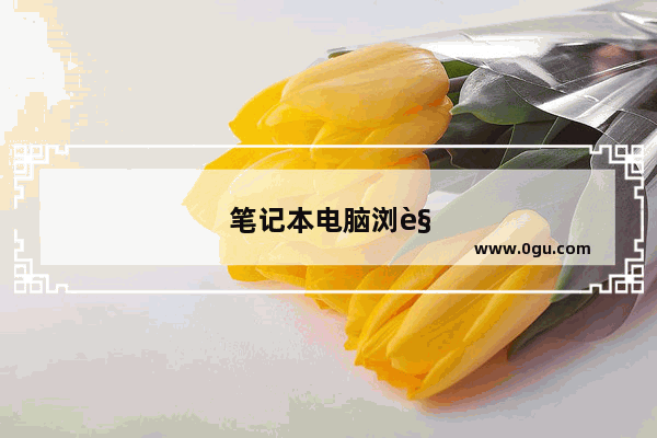 笔记本电脑浏览器打不开怎么办