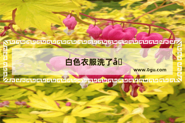 白色衣服洗了发黄怎么办