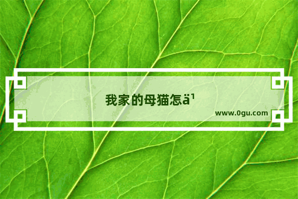 我家的母猫怎么不叫春了
