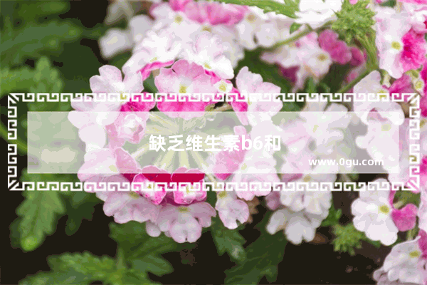 缺乏维生素b6和谷维素会造成心肾不交吗
