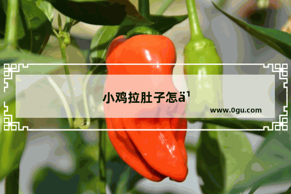 小鸡拉肚子怎么办?