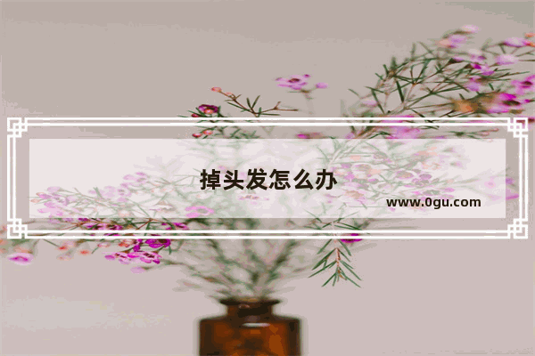 掉头发怎么办