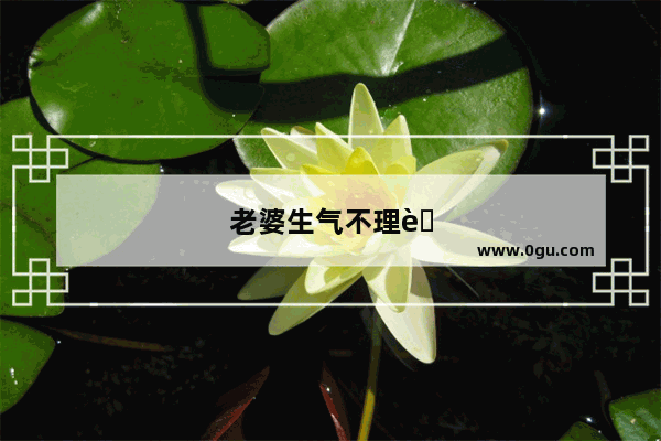 老婆生气不理自己了怎么办
