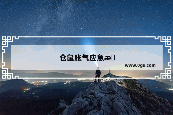仓鼠胀气应急方法