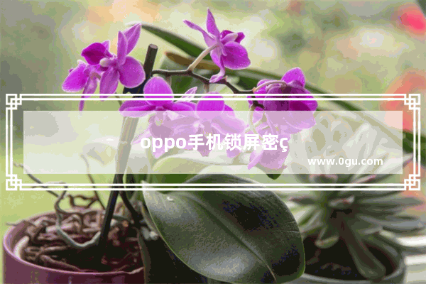 oppo手机锁屏密码忘了怎么办