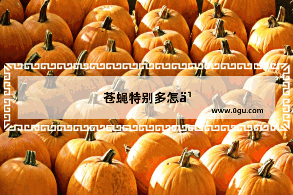 苍蝇特别多怎么办?