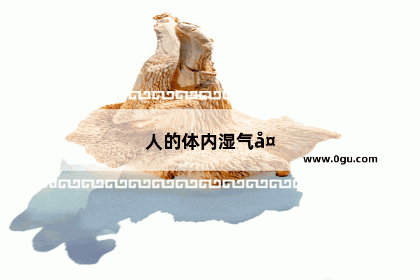 人的体内湿气太重怎么办