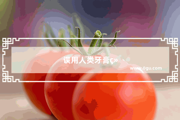 误用人类牙膏给猫猫刷牙了会怎么样