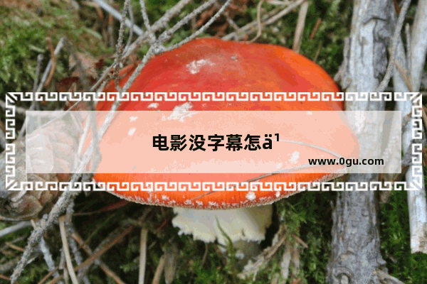 电影没字幕怎么办