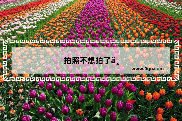 拍照不想拍了不给退钱怎么办