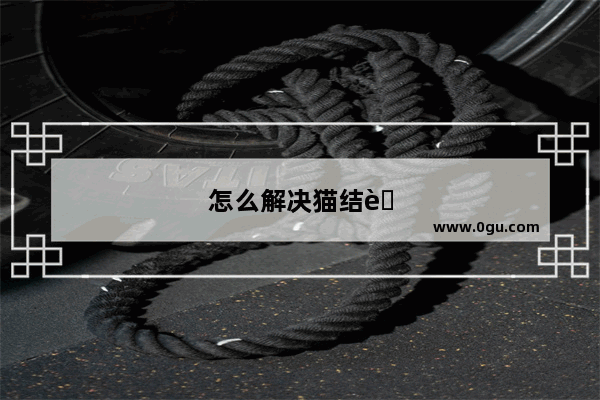 怎么解决猫结膜炎