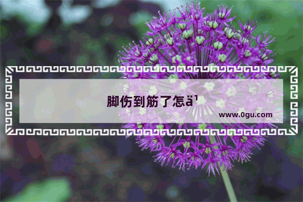 脚伤到筋了怎么办?