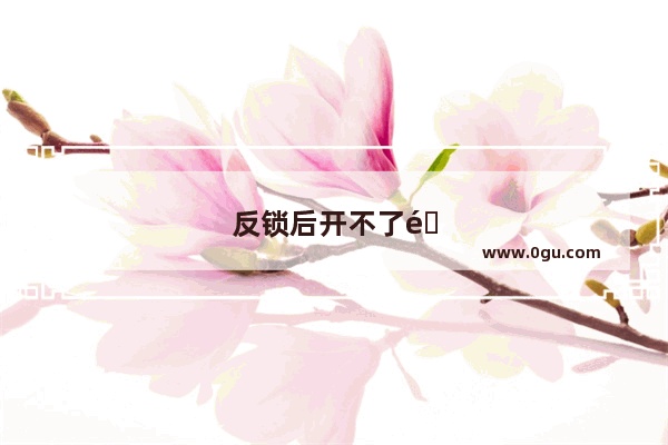 反锁后开不了门怎么回事