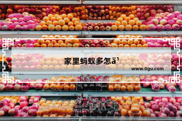 家里蚂蚁多怎么办