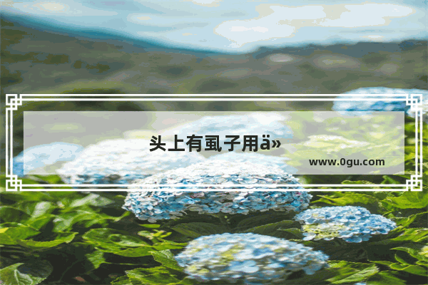 头上有虱子用什么办法最好