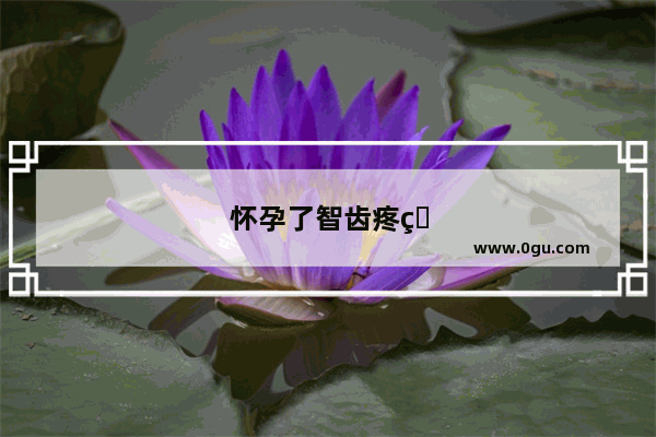 怀孕了智齿疼的受不了怎么办