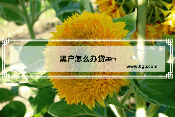 黑户怎么办贷款