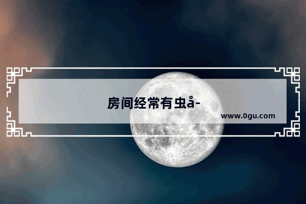 房间经常有虫子怎么办