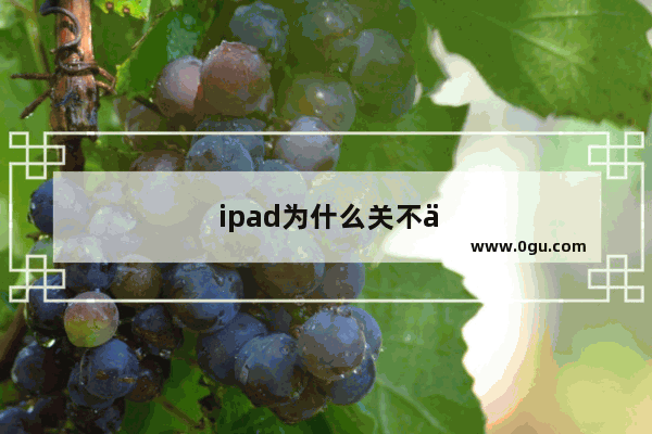 ipad为什么关不了机