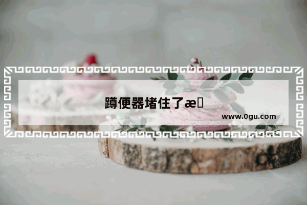 蹲便器堵住了怎么办