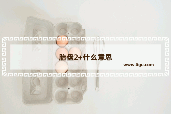 胎盘2+什么意思
