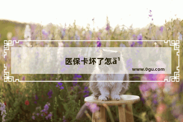 医保卡坏了怎么办理新卡