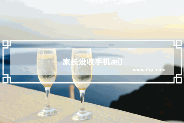 家长没收手机怎么办理由