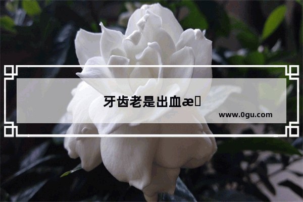 牙齿老是出血怎么办吃什么药