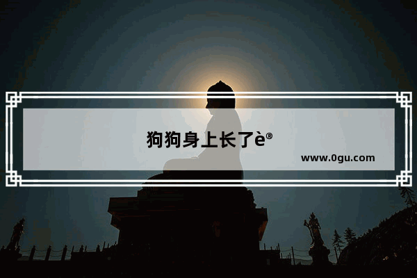狗狗身上长了许多疖子 之前是红的 现在已经结痂了 怎么回事