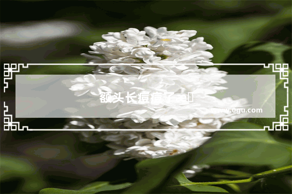 额头长痘痘了怎么办?