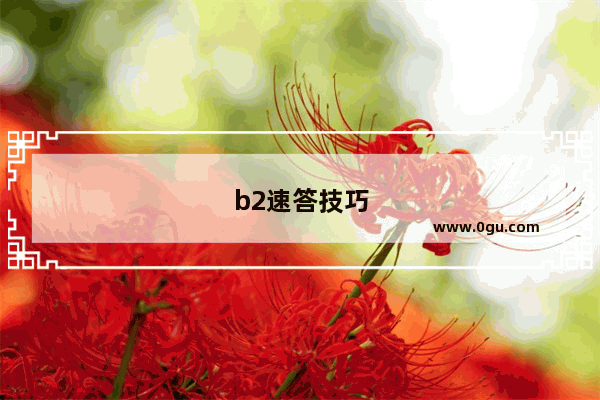 b2速答技巧