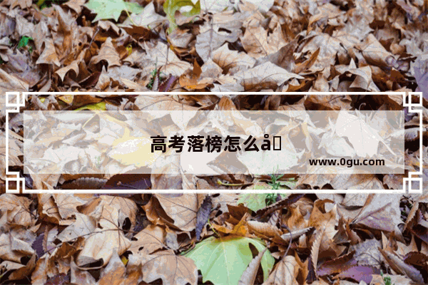 高考落榜怎么办啊