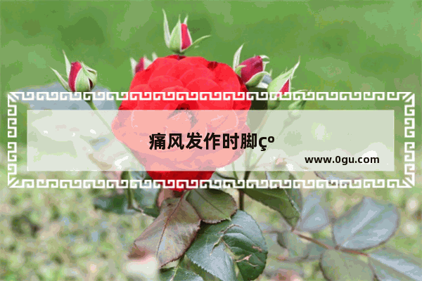 痛风发作时脚红肿疼痛如何快速消肿止痛