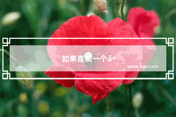 如果喜欢一个人怎么办呢